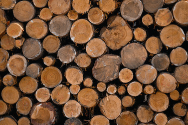 Similar image 22296829