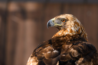 Similar image 22294519