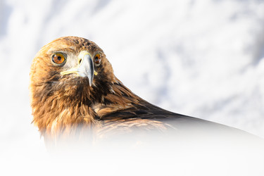 Similar image 22294521