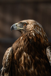 Similar image 22294522