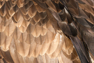 Similar image 22296833