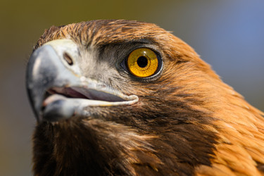 Similar image 22294523