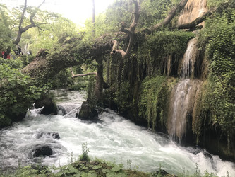 Similar image 22296853