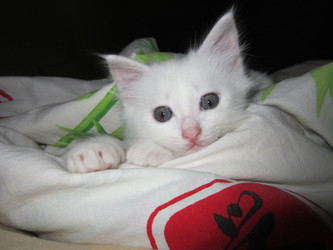 Similar image 22294241