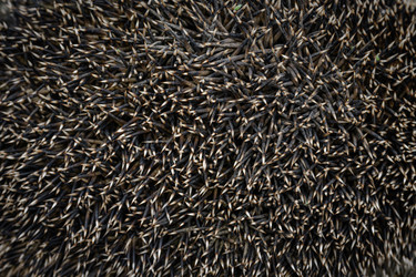 Similar image 22294524