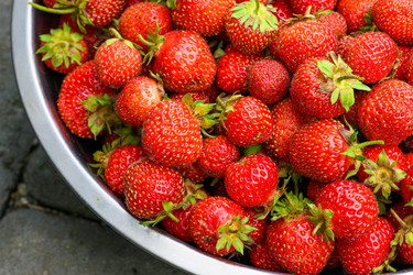 Similar image 22296835