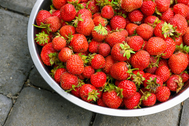 Similar image 22296856