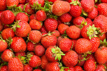 Similar image 22296857