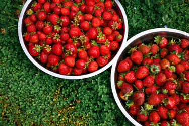 Similar image 22296858