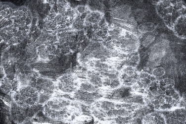 Similar image 22312633