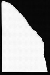 Similar image 22312643