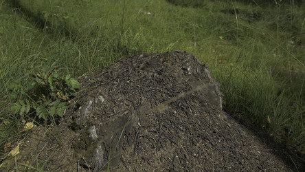 Similar image 22328639