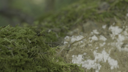 Similar image 22328911