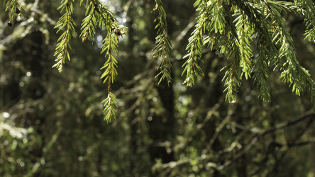 Similar image 22330142