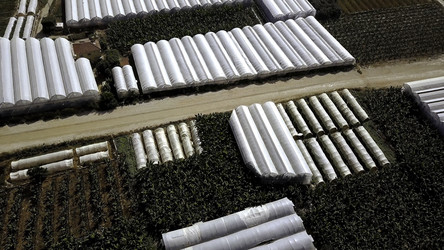 Similar image 22330966