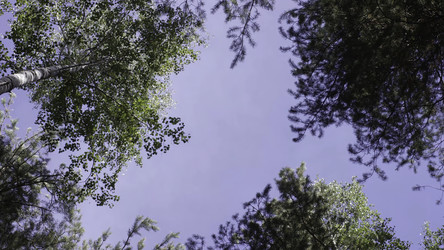 Similar image 22296500