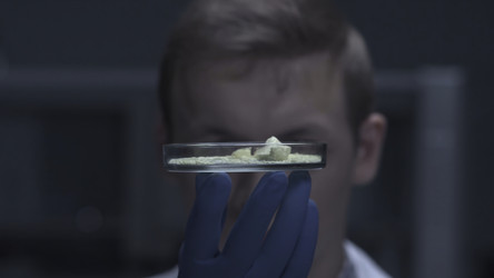 Similar image 22296671