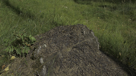 Similar image 22331490