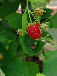 Similar image 22296359