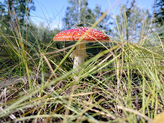 Similar image 22296360