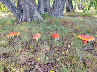 Similar image 22296361