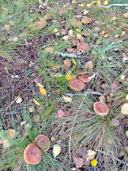 Similar image 22296362