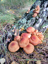 Similar image 22296363