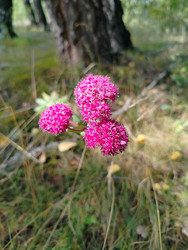 Similar image 22296364