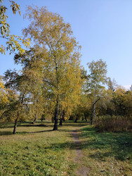 Similar image 22304391