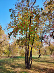 Similar image 22304392