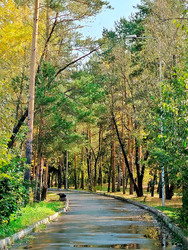 Similar image 22304393