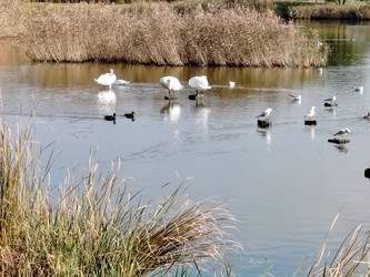 Similar image 22304395