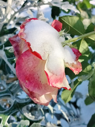 Similar image 22304396