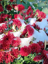 Similar image 22304425