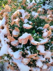 Similar image 22304426