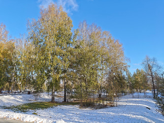 Similar image 22294579