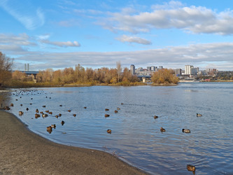 Similar image 22294580