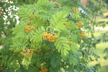 Similar image 22316563