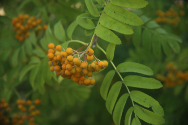 Similar image 22316564