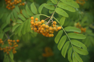 Similar image 22316565