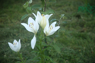 Similar image 22323435