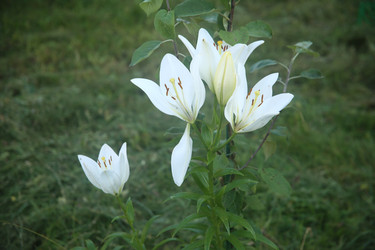 Similar image 22323436