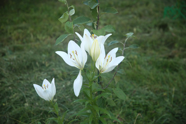 Similar image 22315200