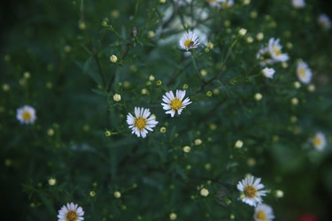 Similar image 22317213