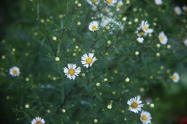 Similar image 22316566