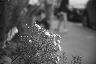 Similar image 22327220