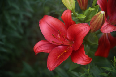 Similar image 22315201