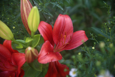 Similar image 22315202