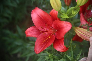 Similar image 22315203