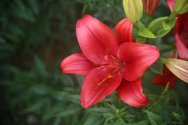 Similar image 22315204